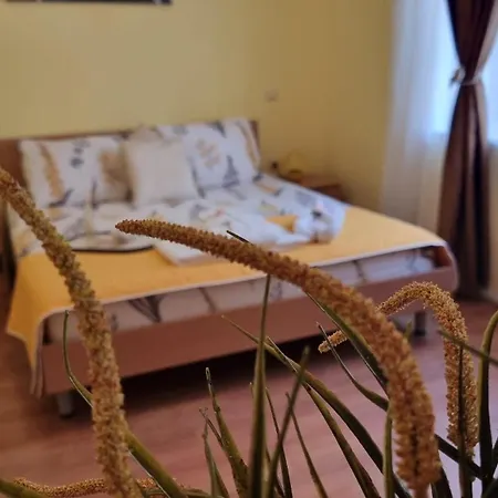 Apartament Casa Del Mar