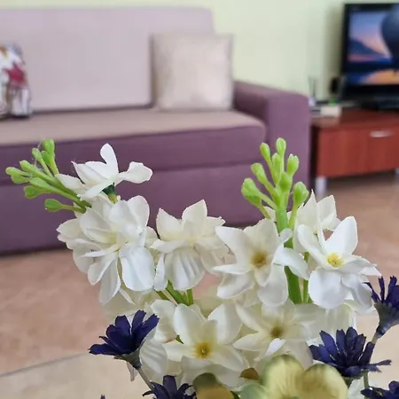 Casa Del Mar アパート *